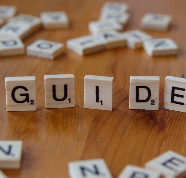 complete guide to assistance steps