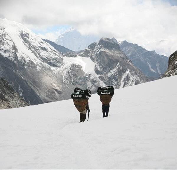 the ultimate nepalkrigare beginner guide